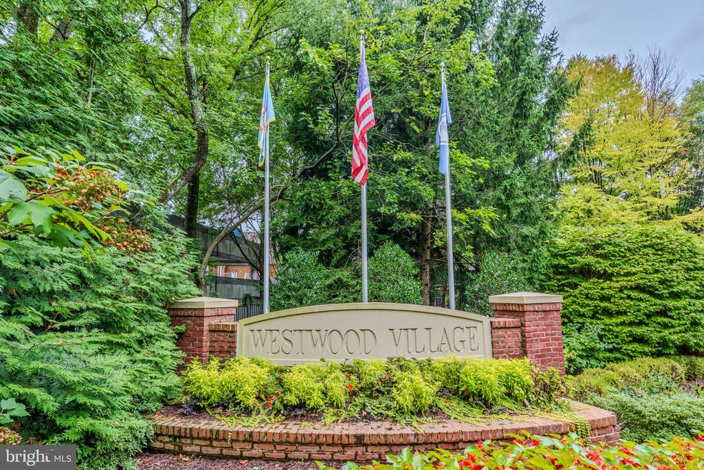 8816 HUNTING LODGE COURT