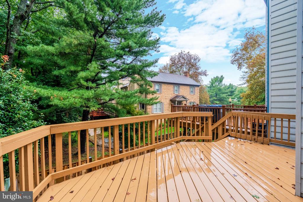 12504 SWEET LEAF TERRACE