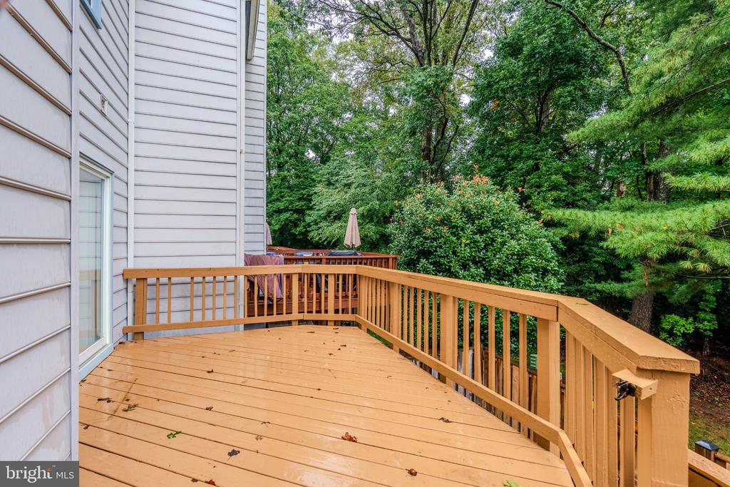 12504 SWEET LEAF TERRACE