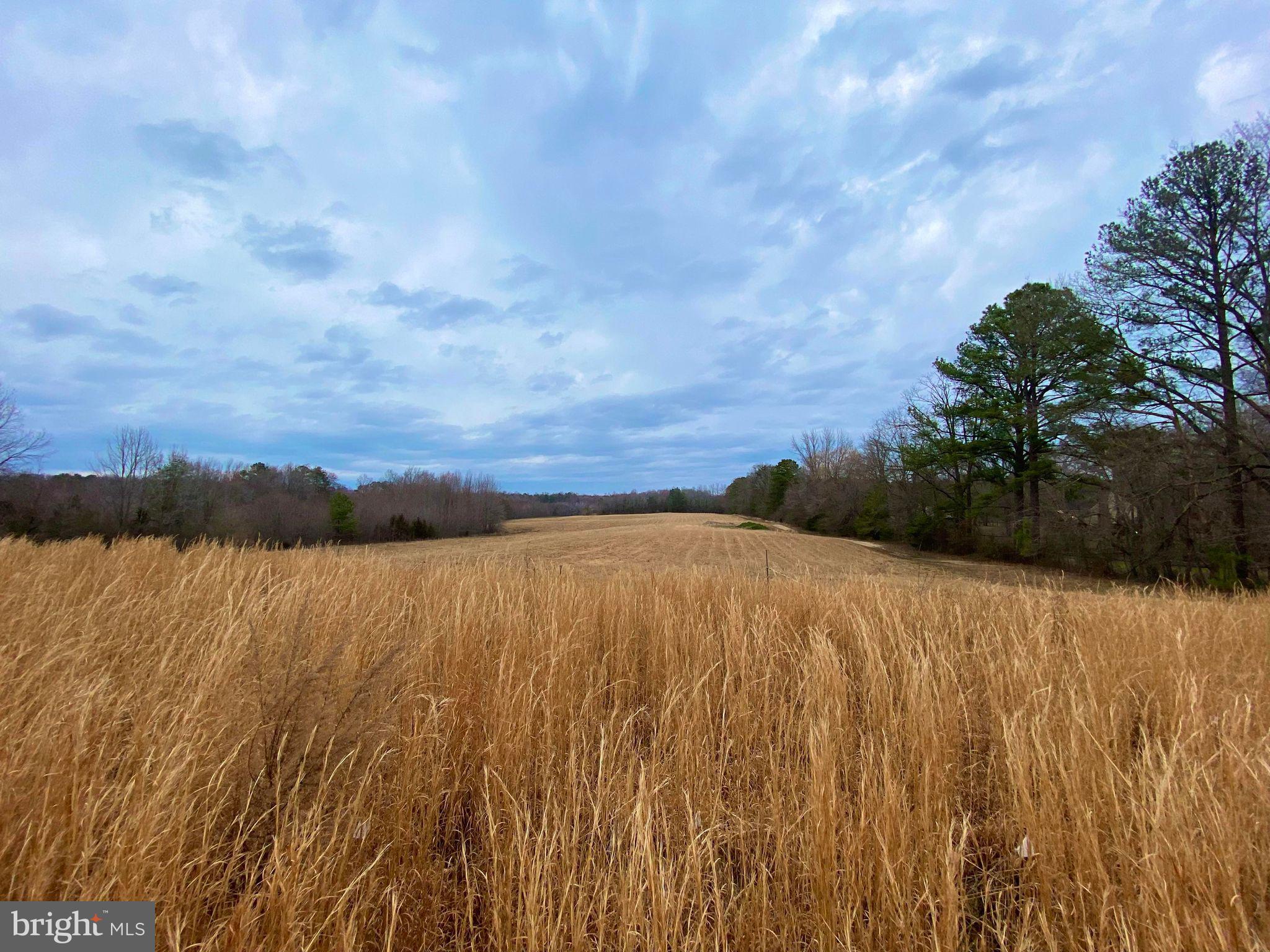 17088 OLD RIDGE ROAD