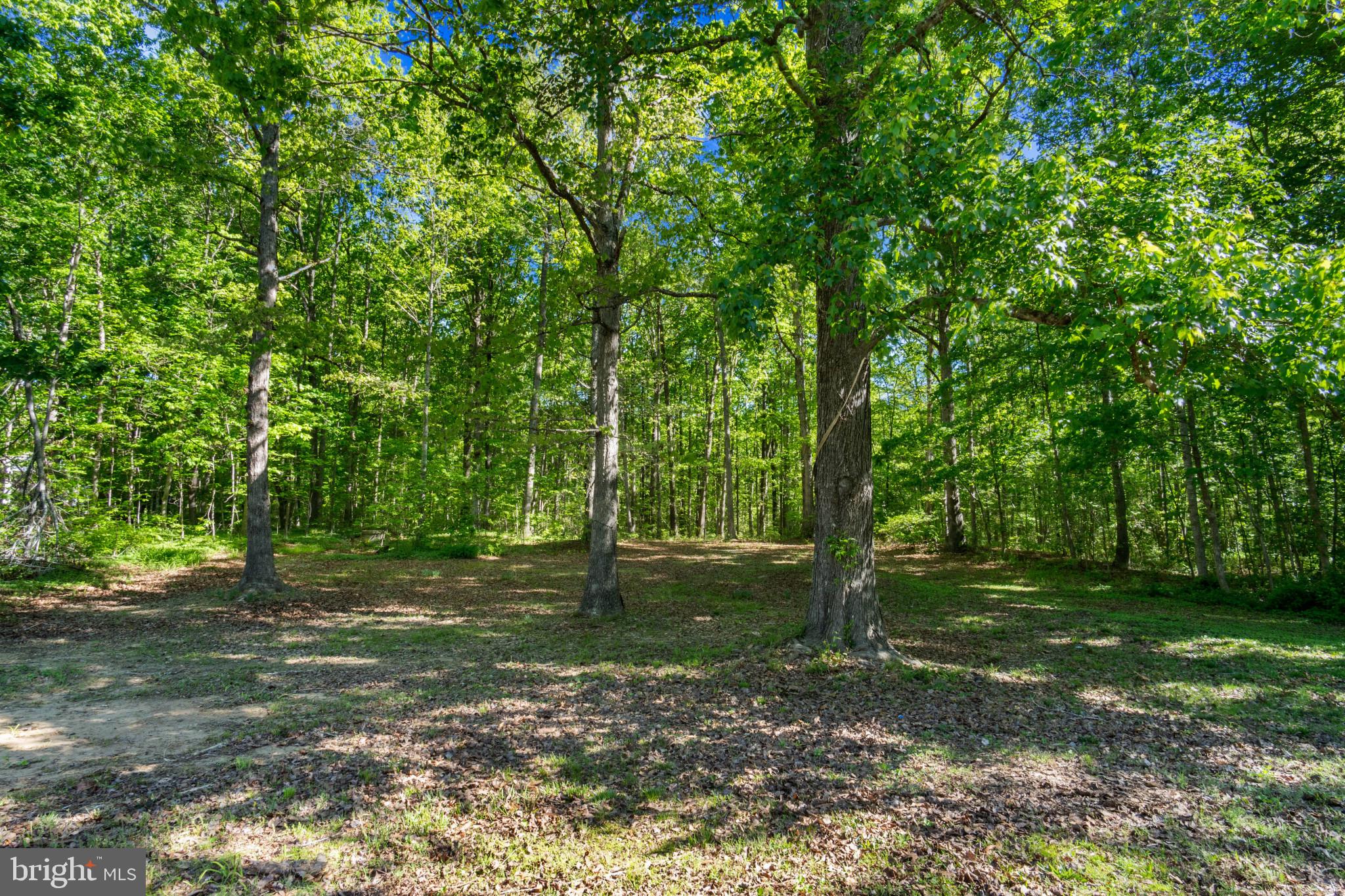 14408 Old Ridge Rd