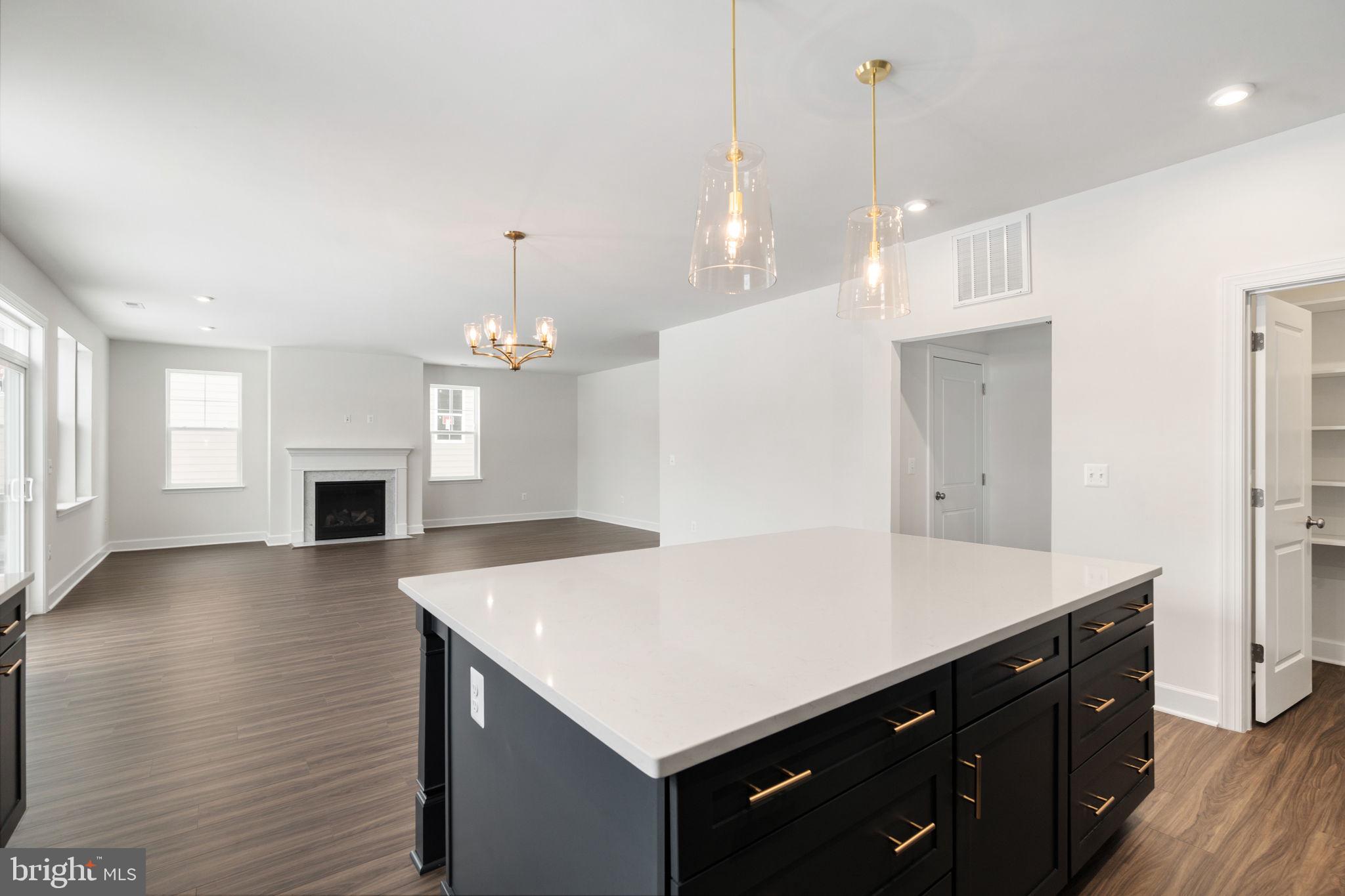 11568 CHAPMAN MILL DRIVE