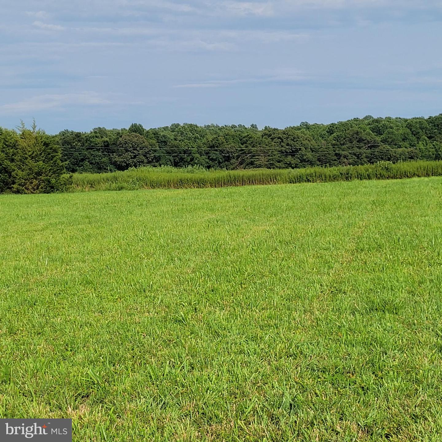 Lot 32 Fitzhugh Ln. Fitzhugh LANE