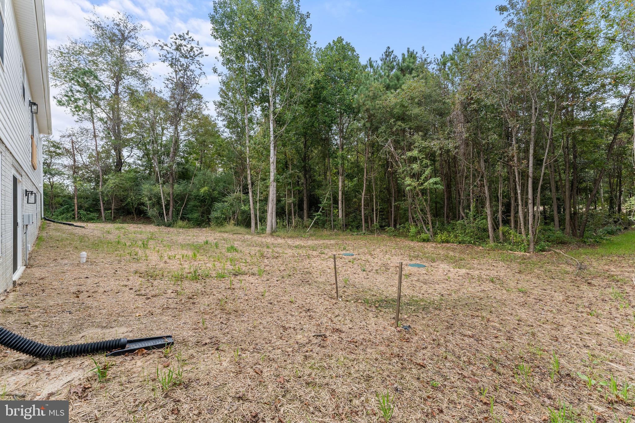 12137 Ridge Rd
