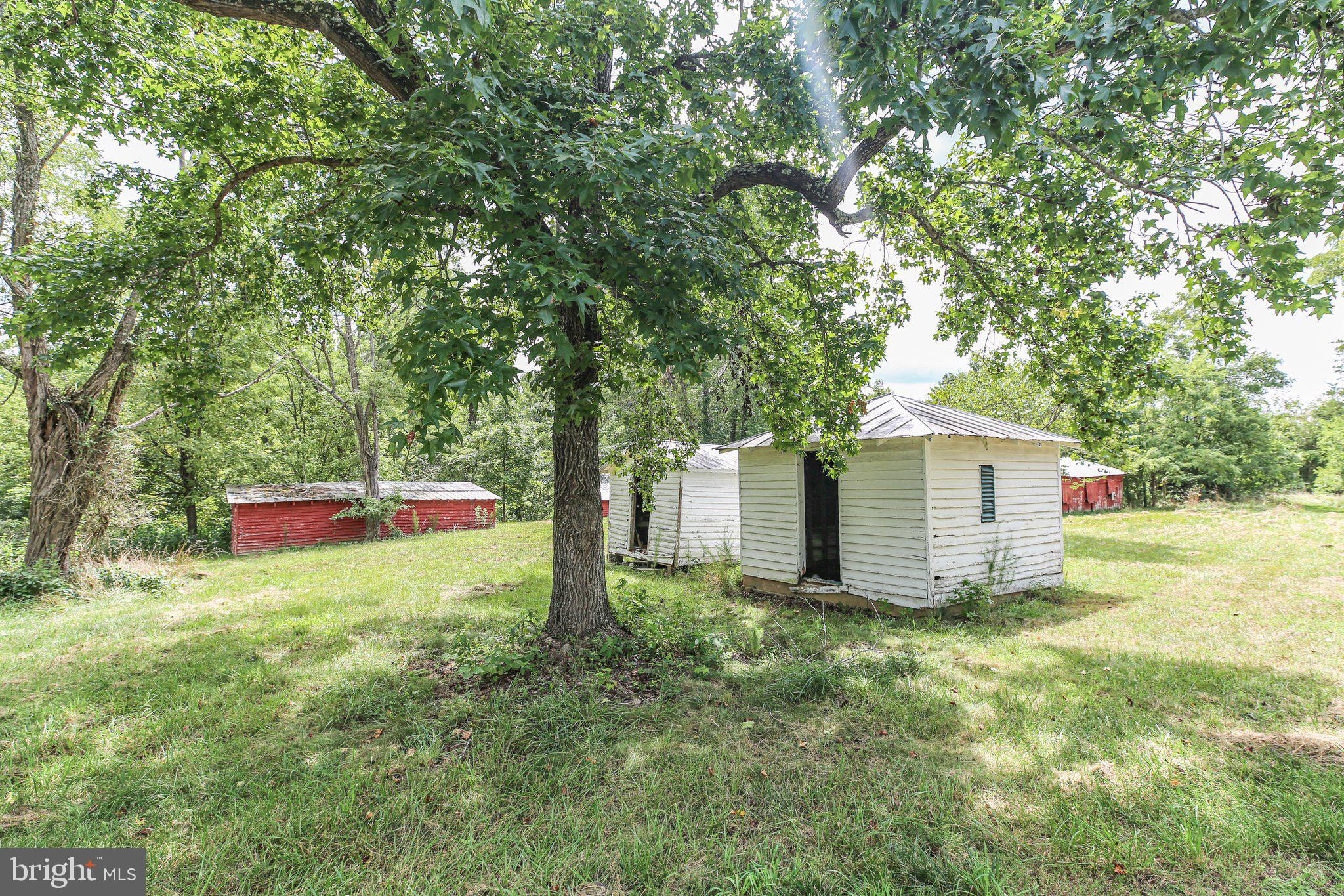 14535 Springfield Lane