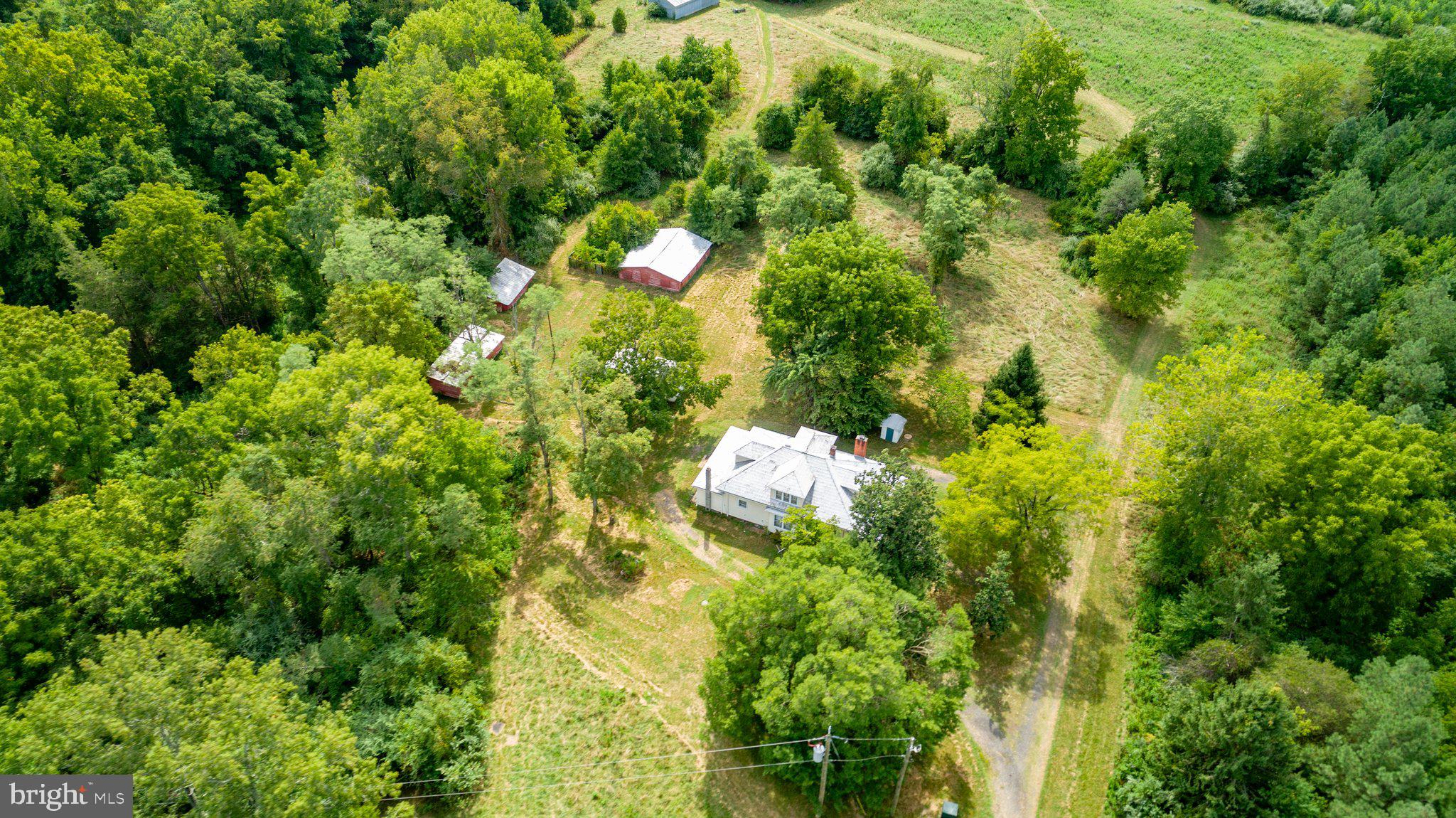 14535 Springfield Lane