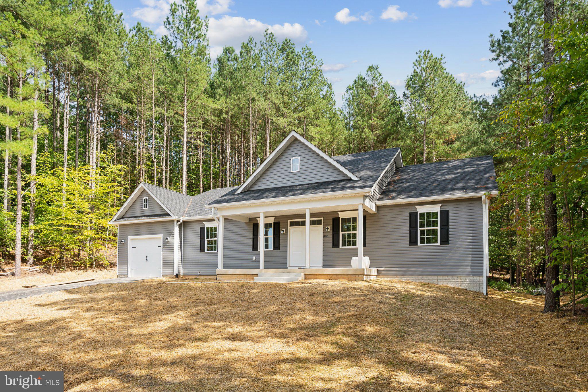 8225 Buckthorne Run