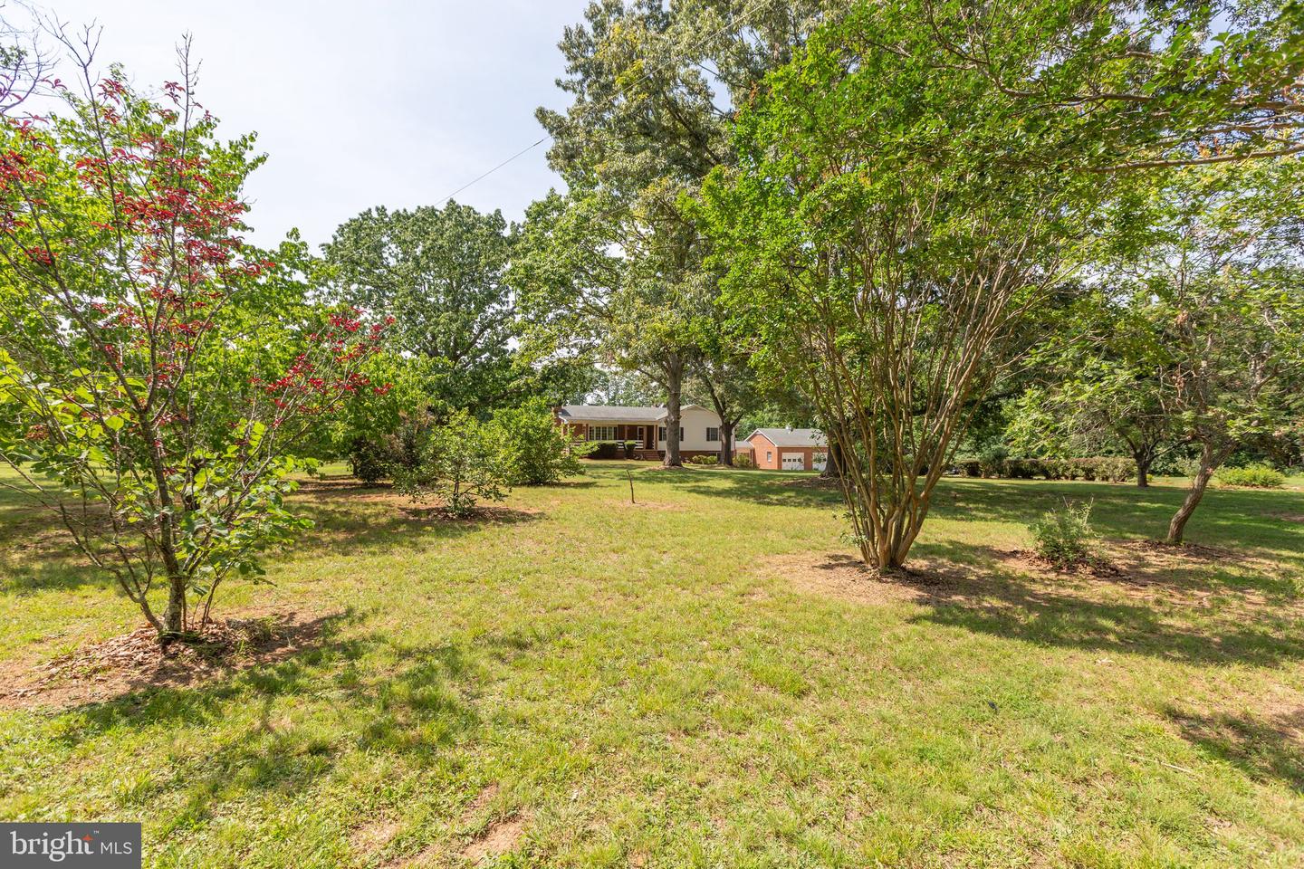 71 Cosner ROAD