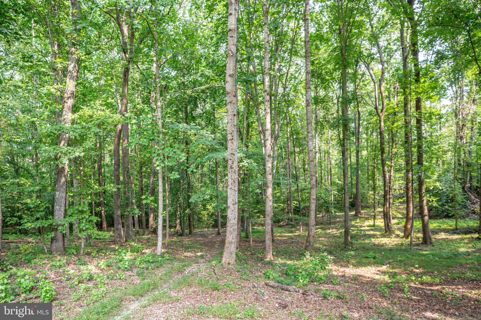 2122 Belle Meade ROAD