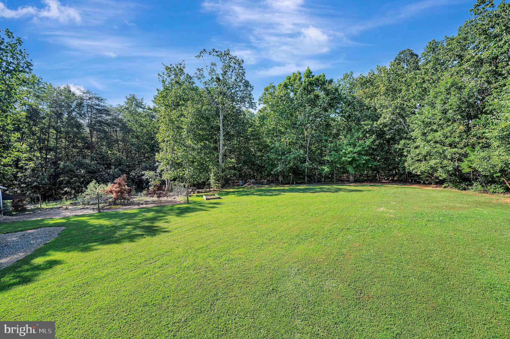 281 White Walnut ROAD