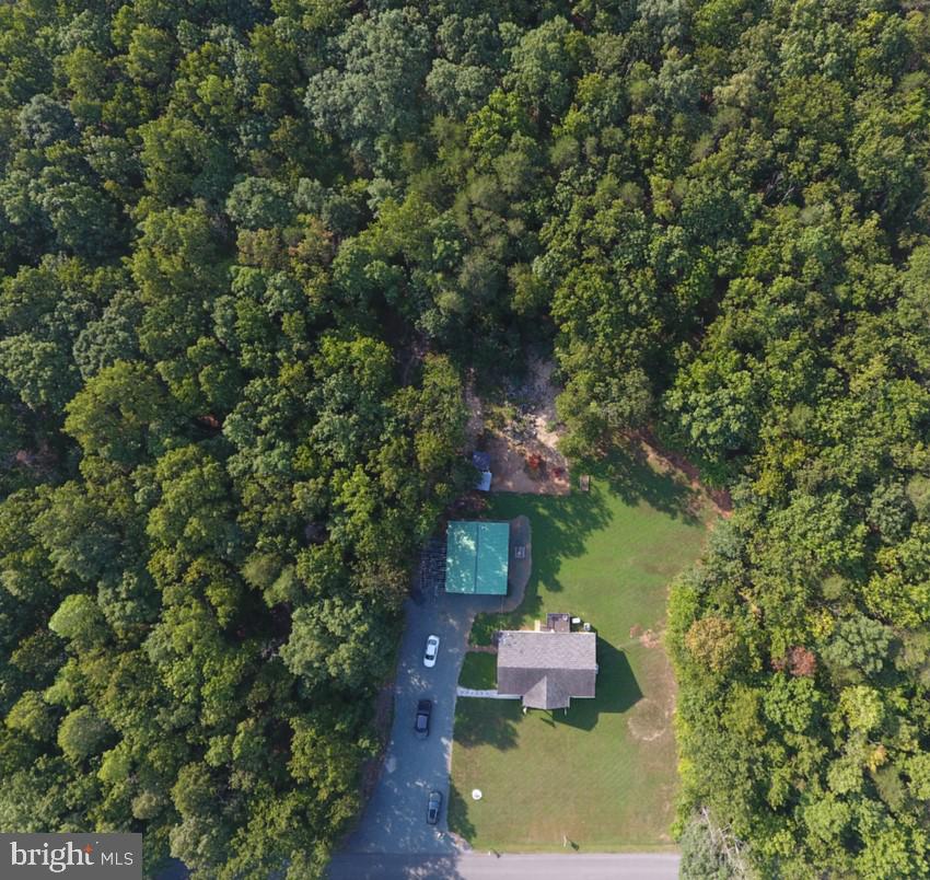 281 White Walnut ROAD