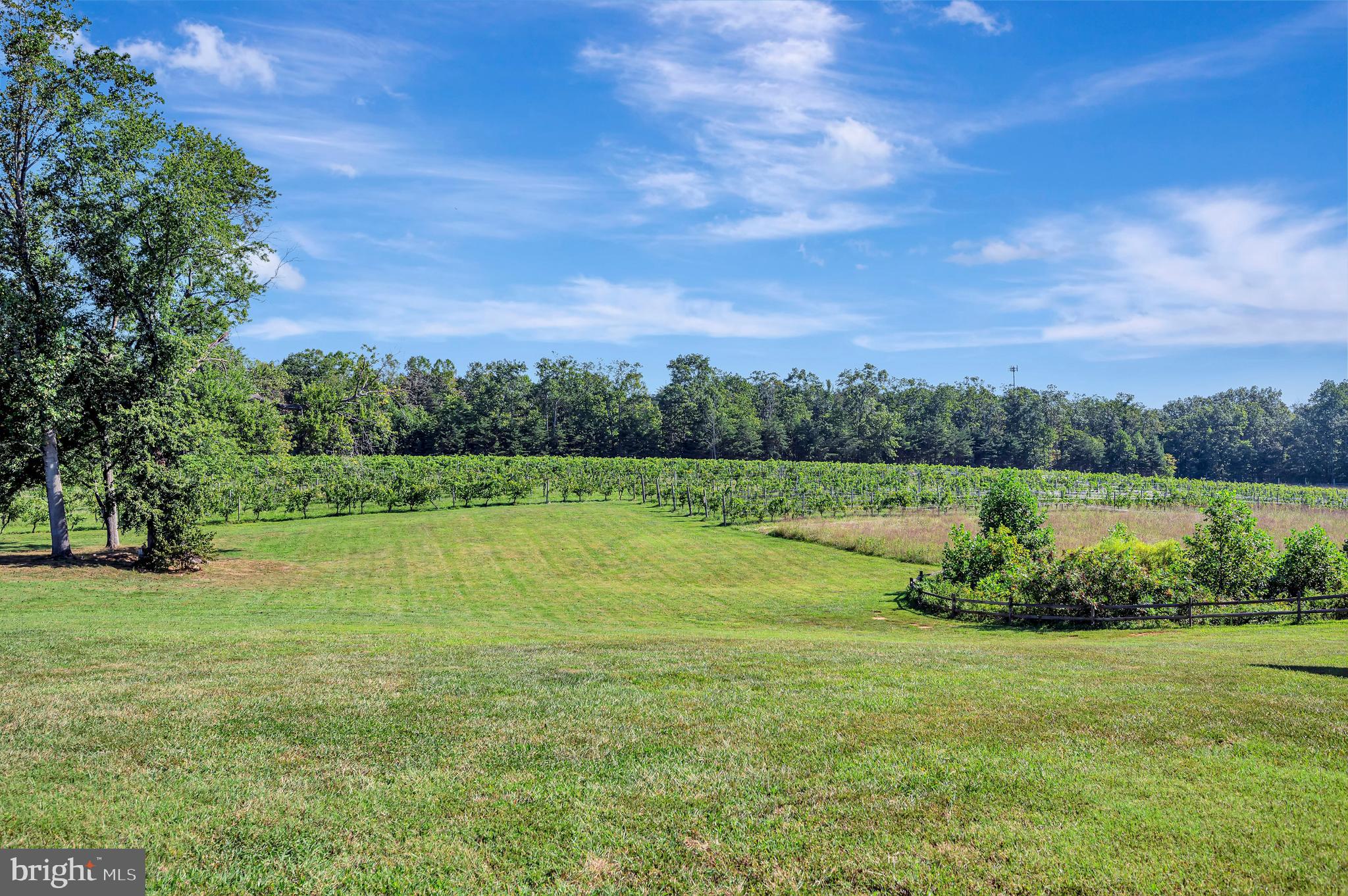 281 White Walnut ROAD