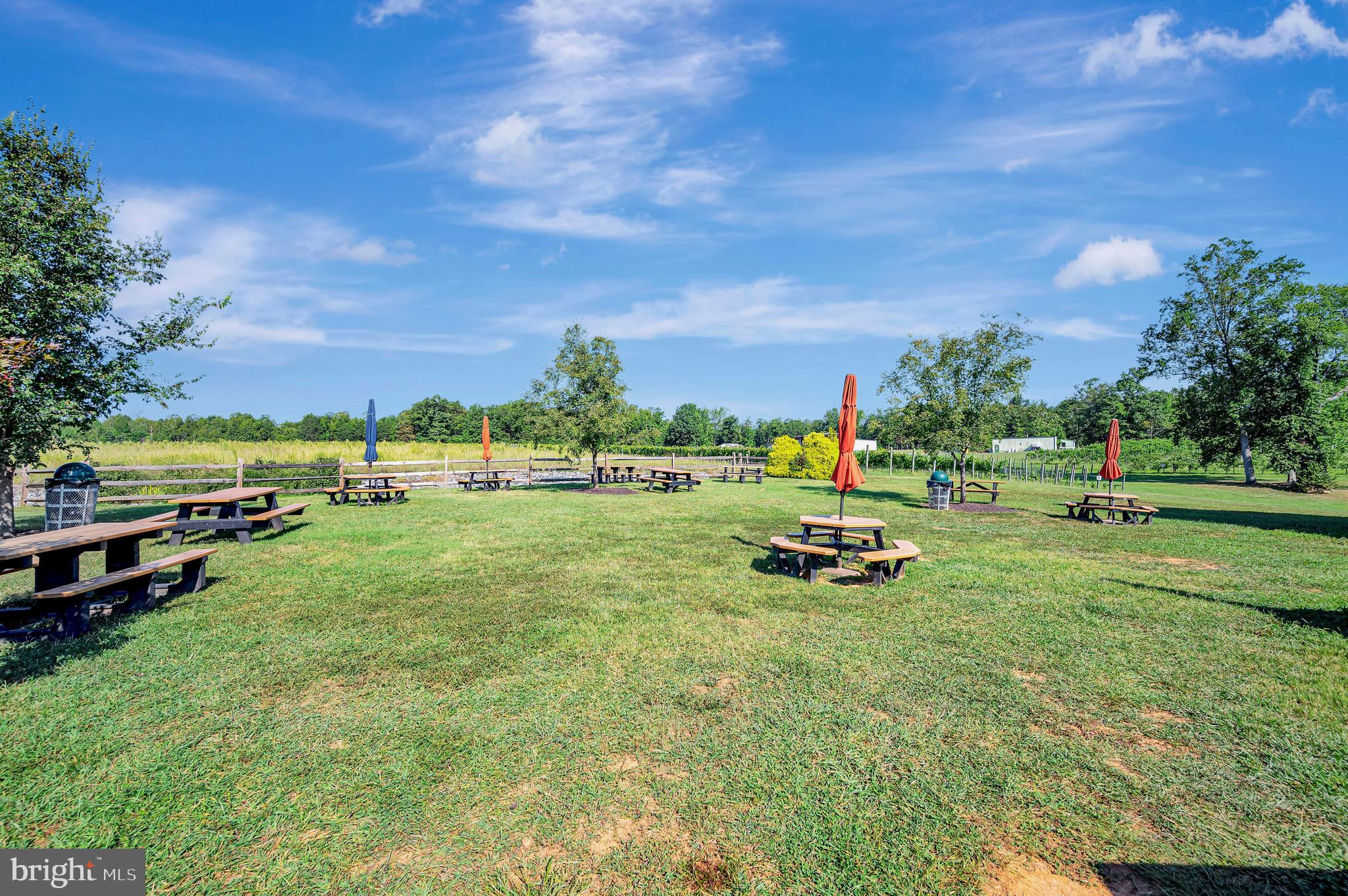 281 White Walnut ROAD