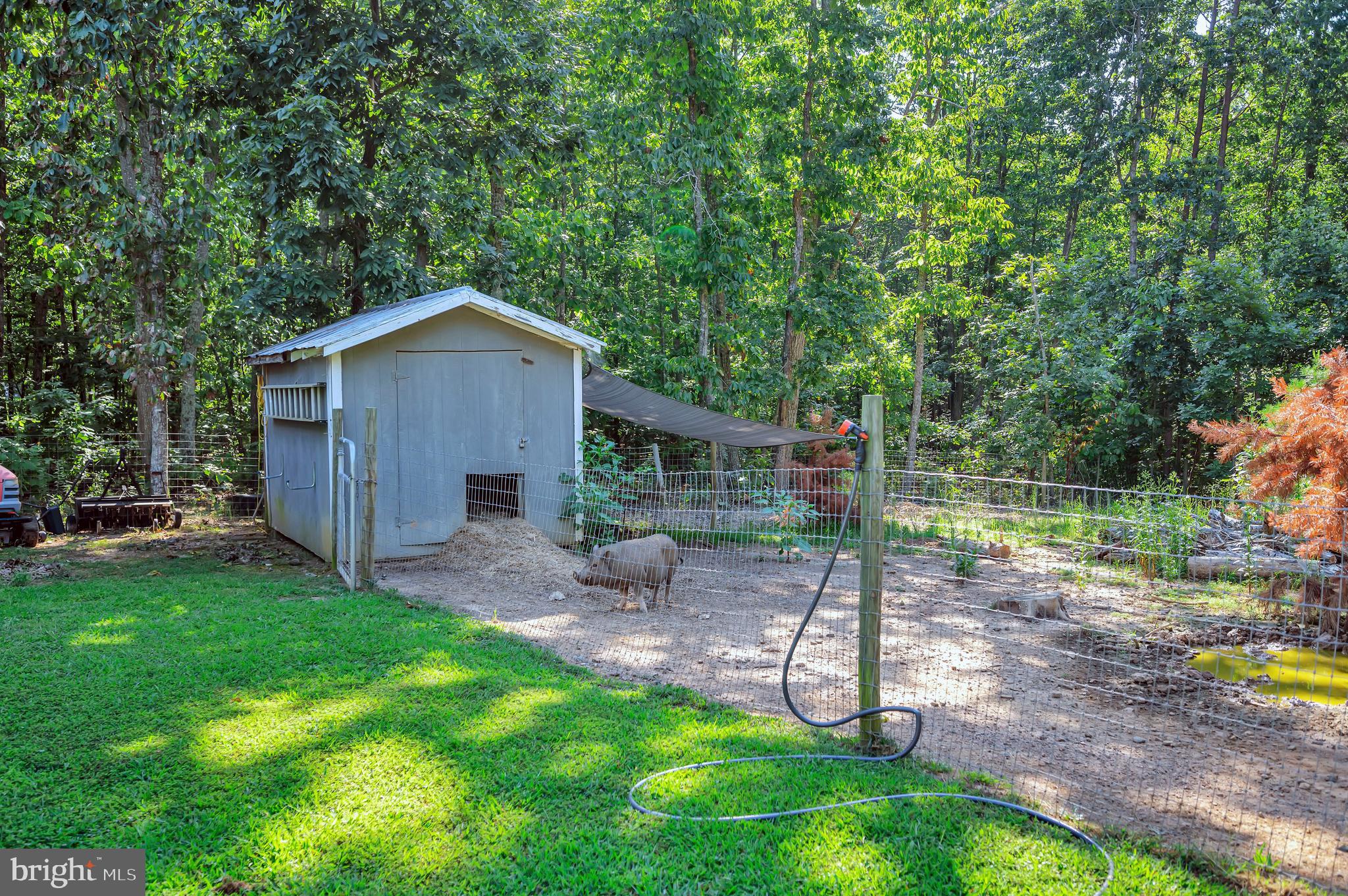281 White Walnut ROAD