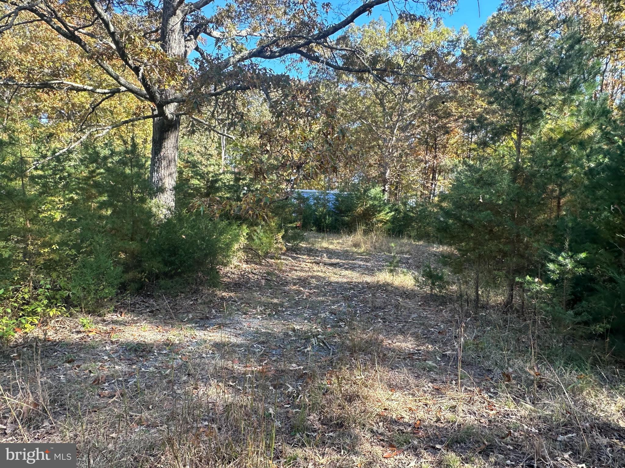 488 Walnut Shade Rd