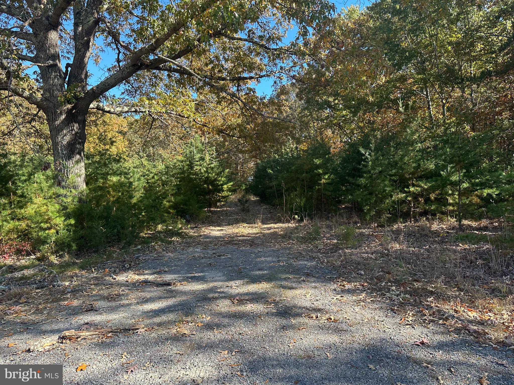 488 Walnut Shade Rd