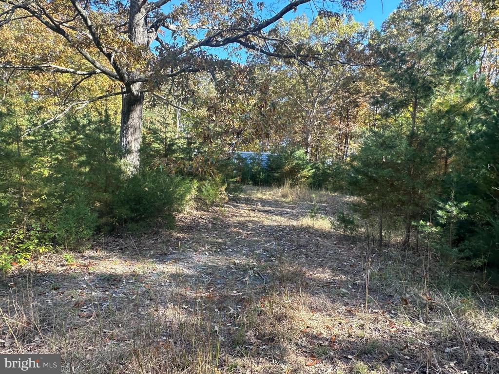 488 Walnut Shade Rd