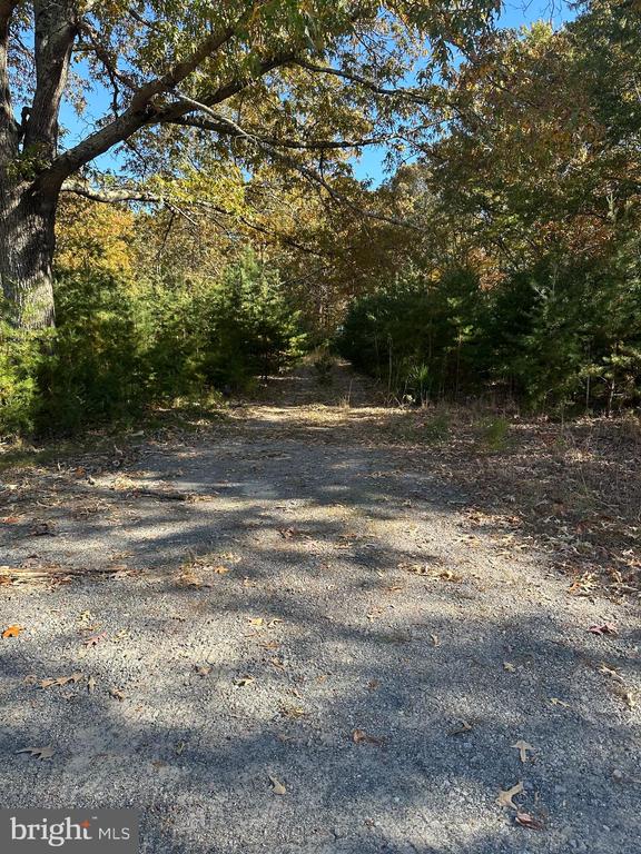 488 Walnut Shade Rd