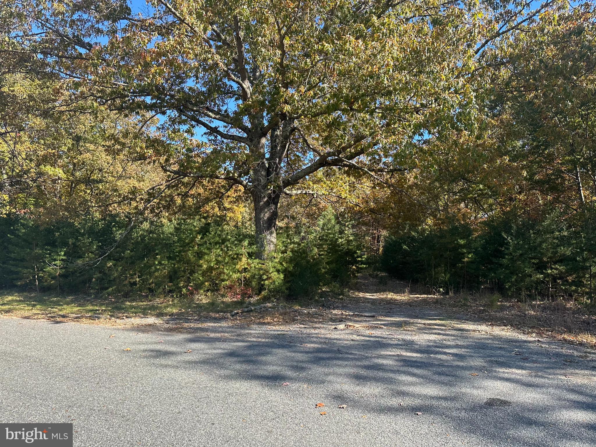 488 Walnut Shade Rd