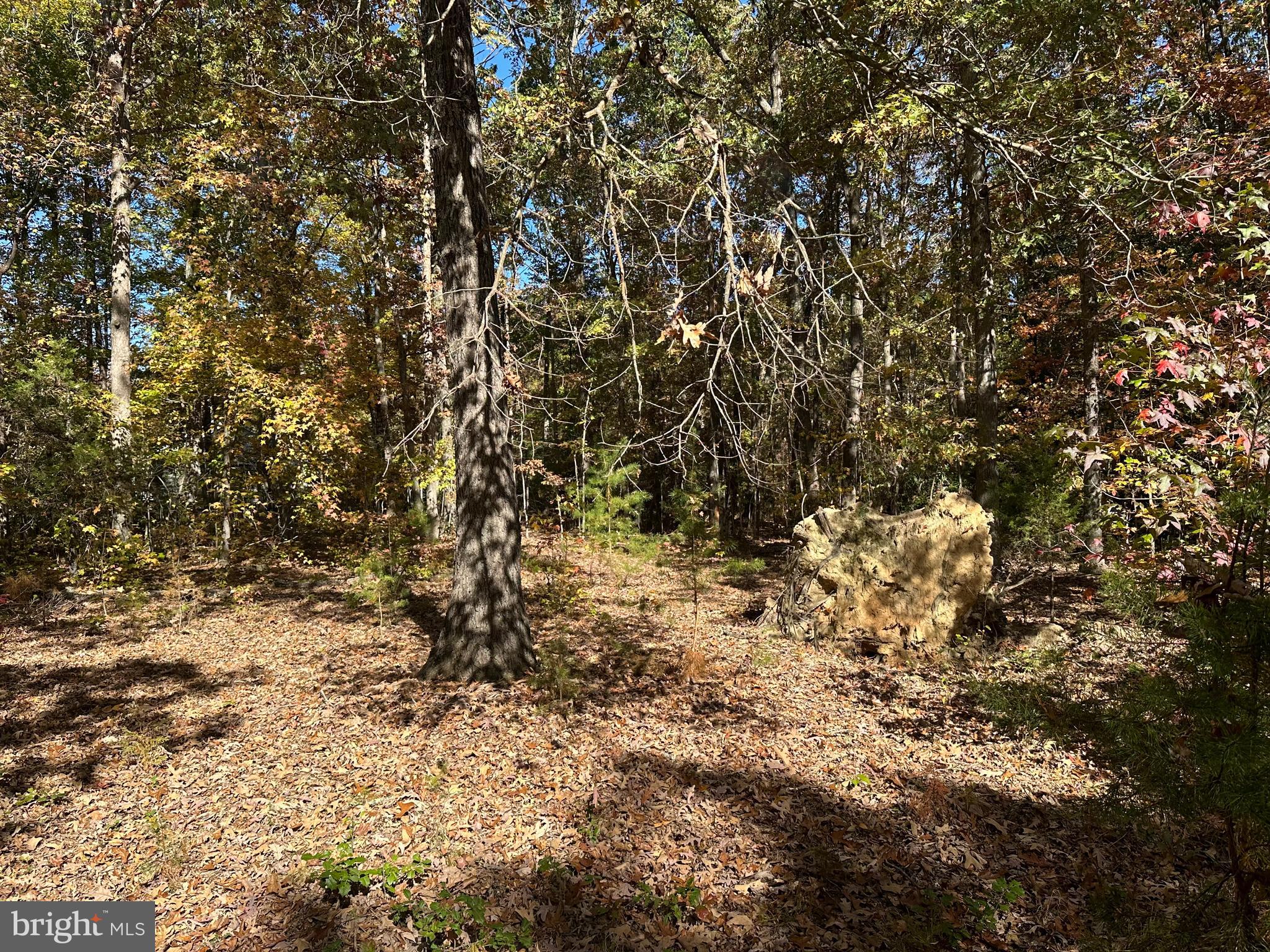 488 Walnut Shade Rd