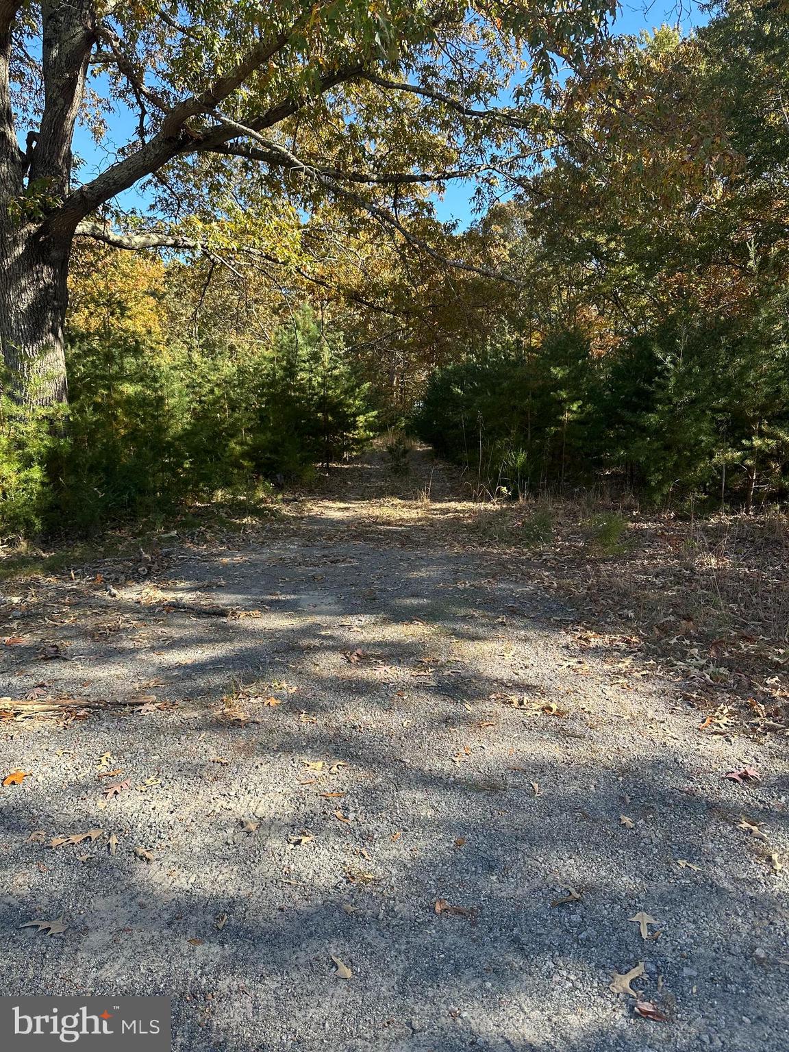 488 Walnut Shade Rd