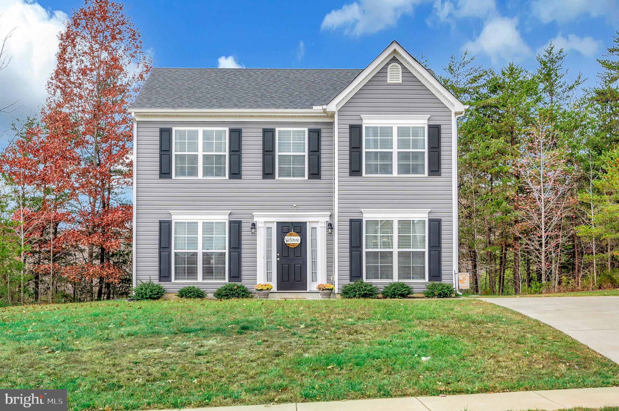 203 Bibb St