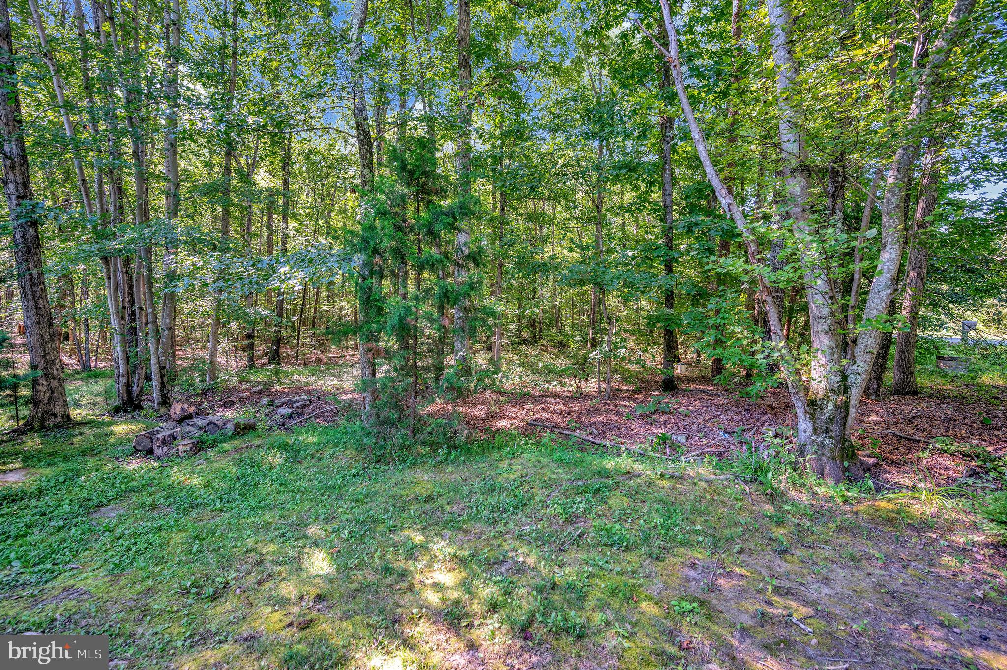 13500 SHANNON HILL ROAD