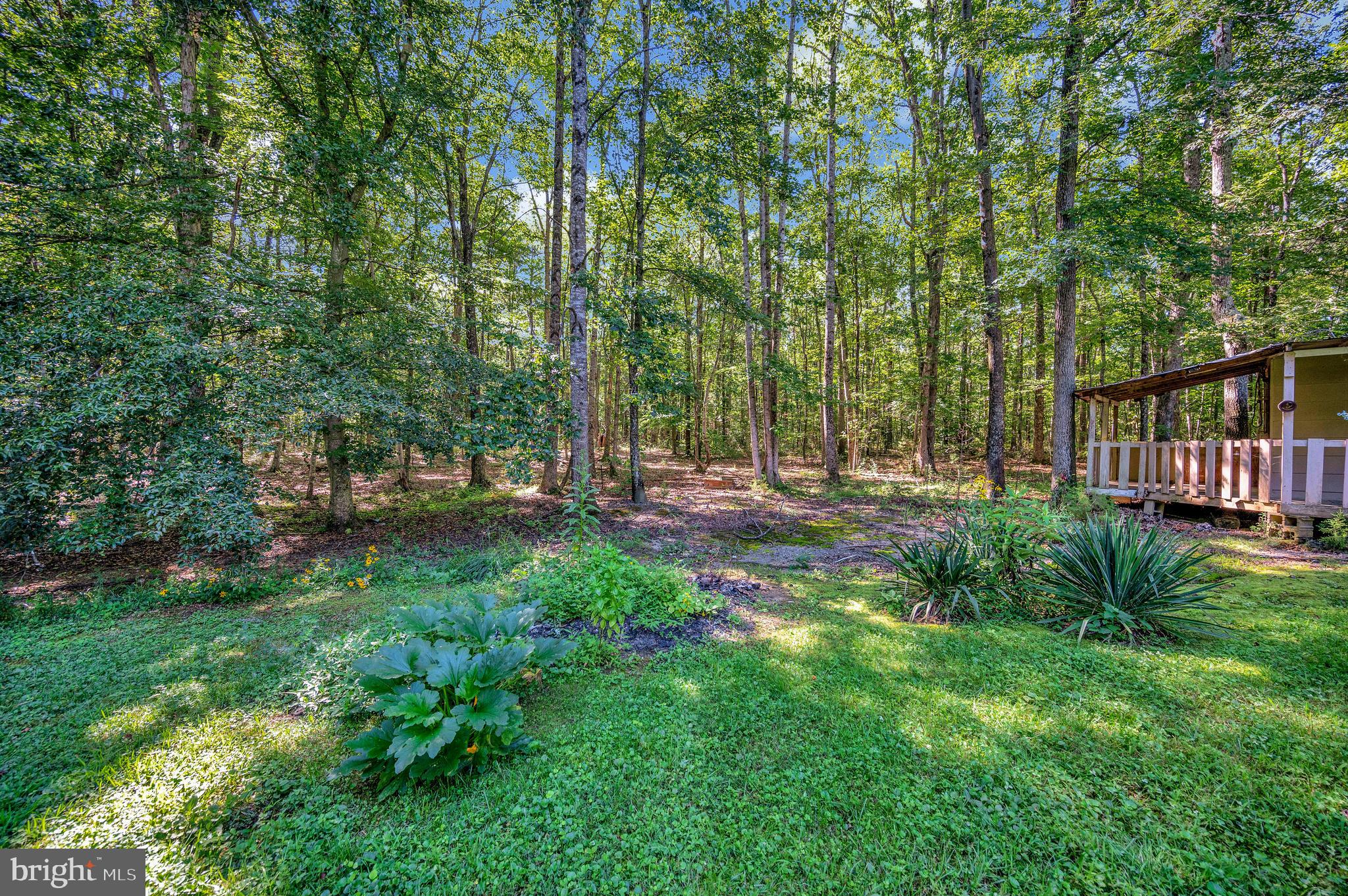 13500 SHANNON HILL ROAD