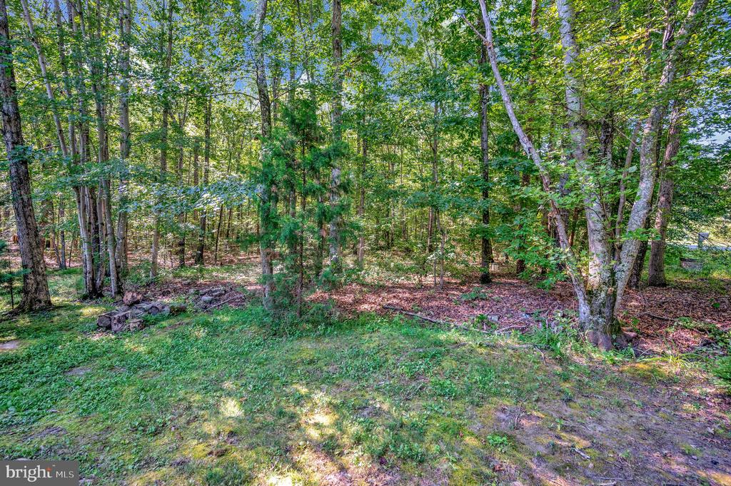 13500 SHANNON HILL ROAD
