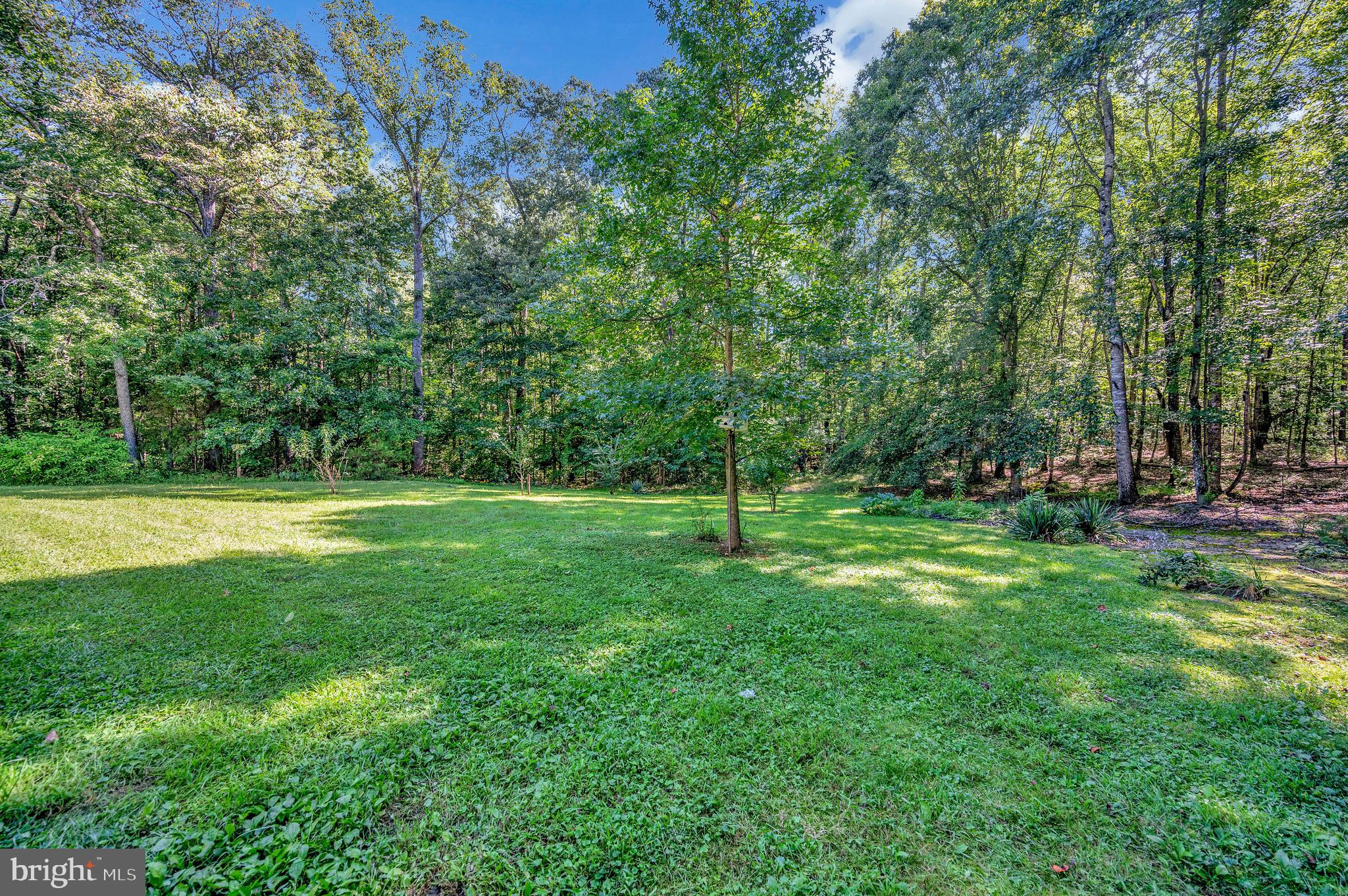 13500 SHANNON HILL ROAD