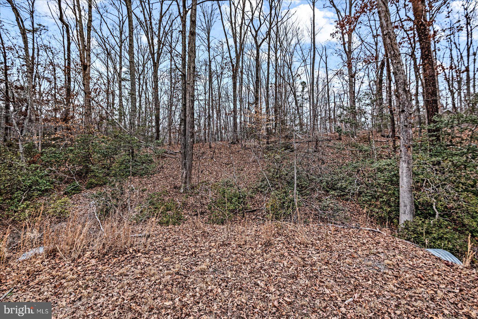 0 PINE HABOUR DRIVE