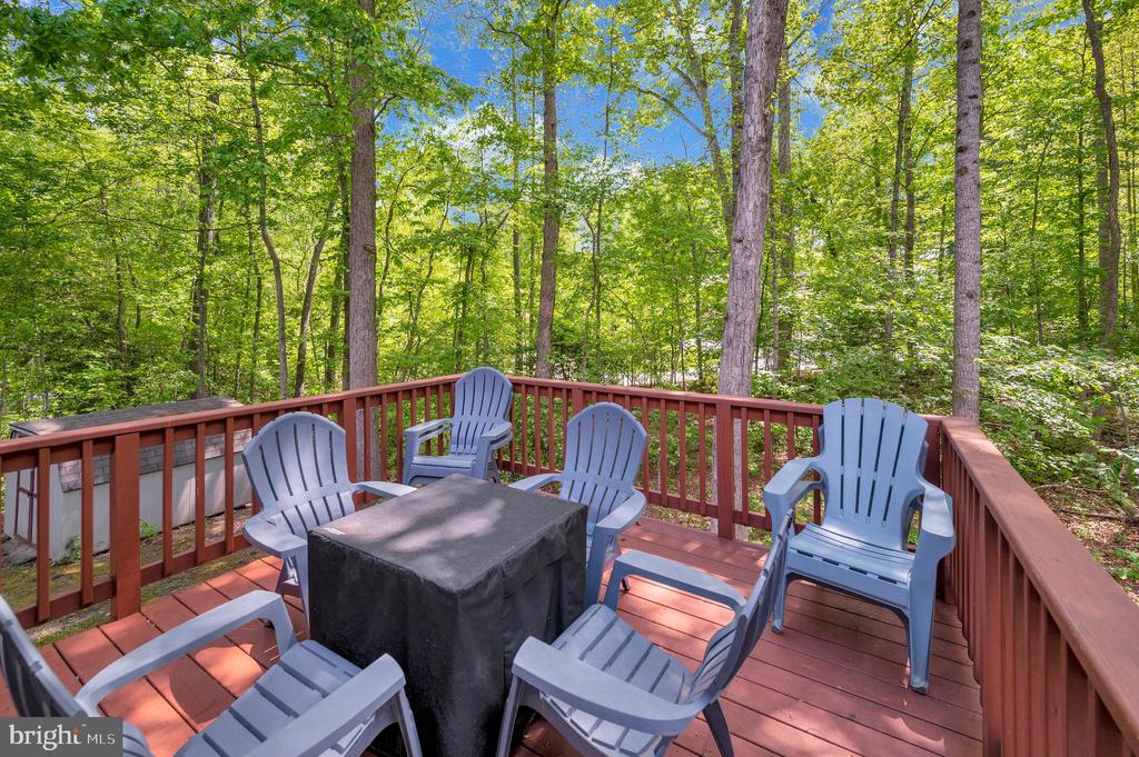 78 FOREST LANE
