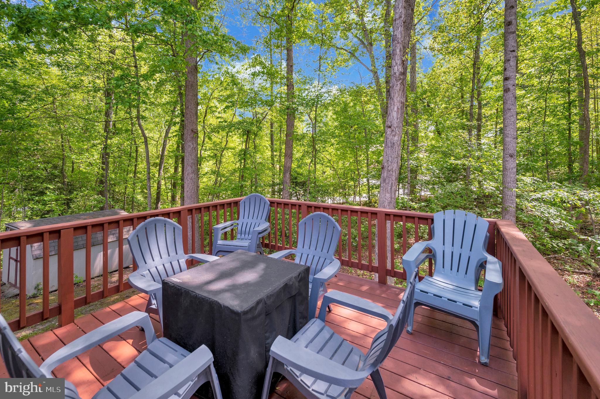 78 FOREST LANE