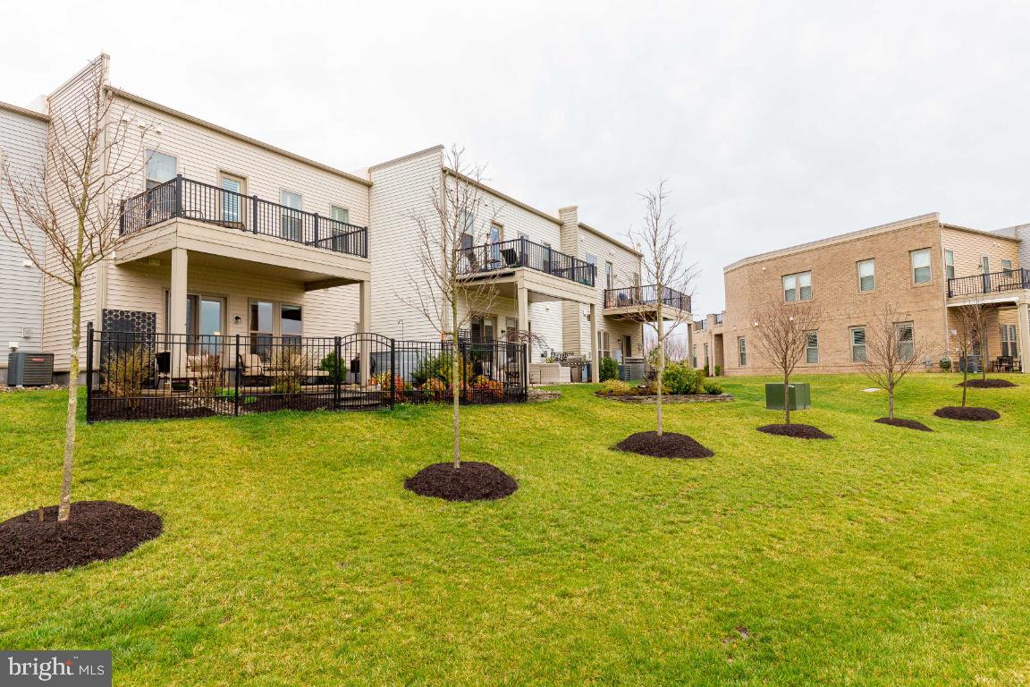 42811 Cumulus TERRACE