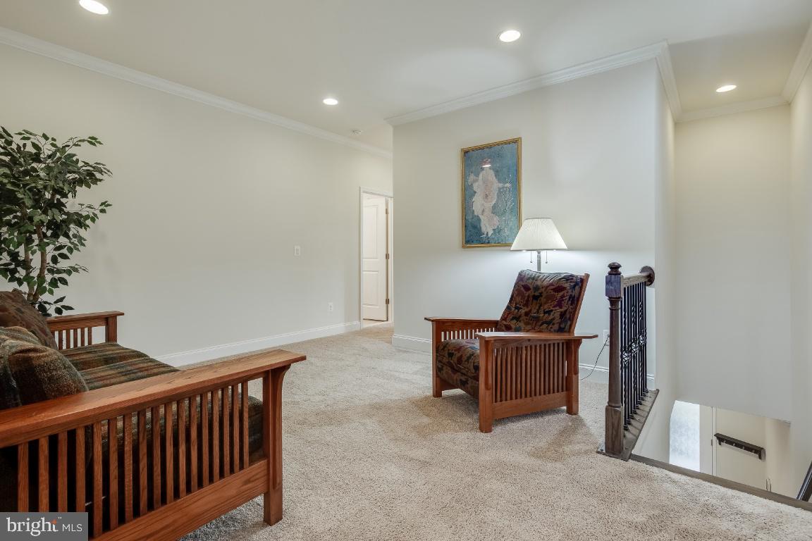 42811 Cumulus TERRACE