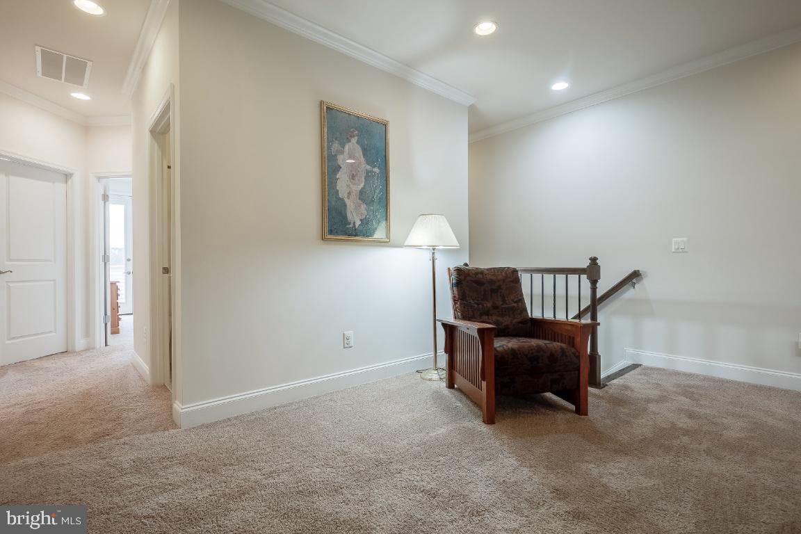 42811 Cumulus TERRACE