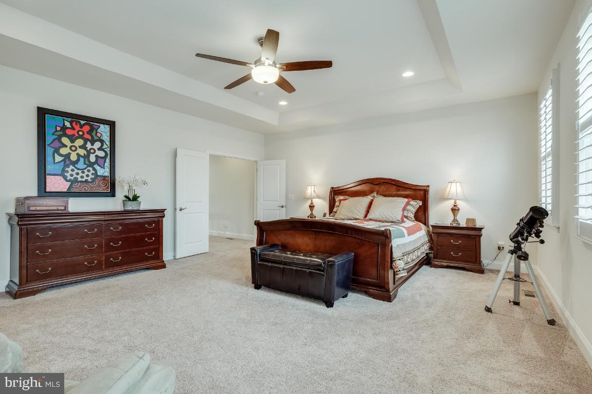 42811 Cumulus TERRACE