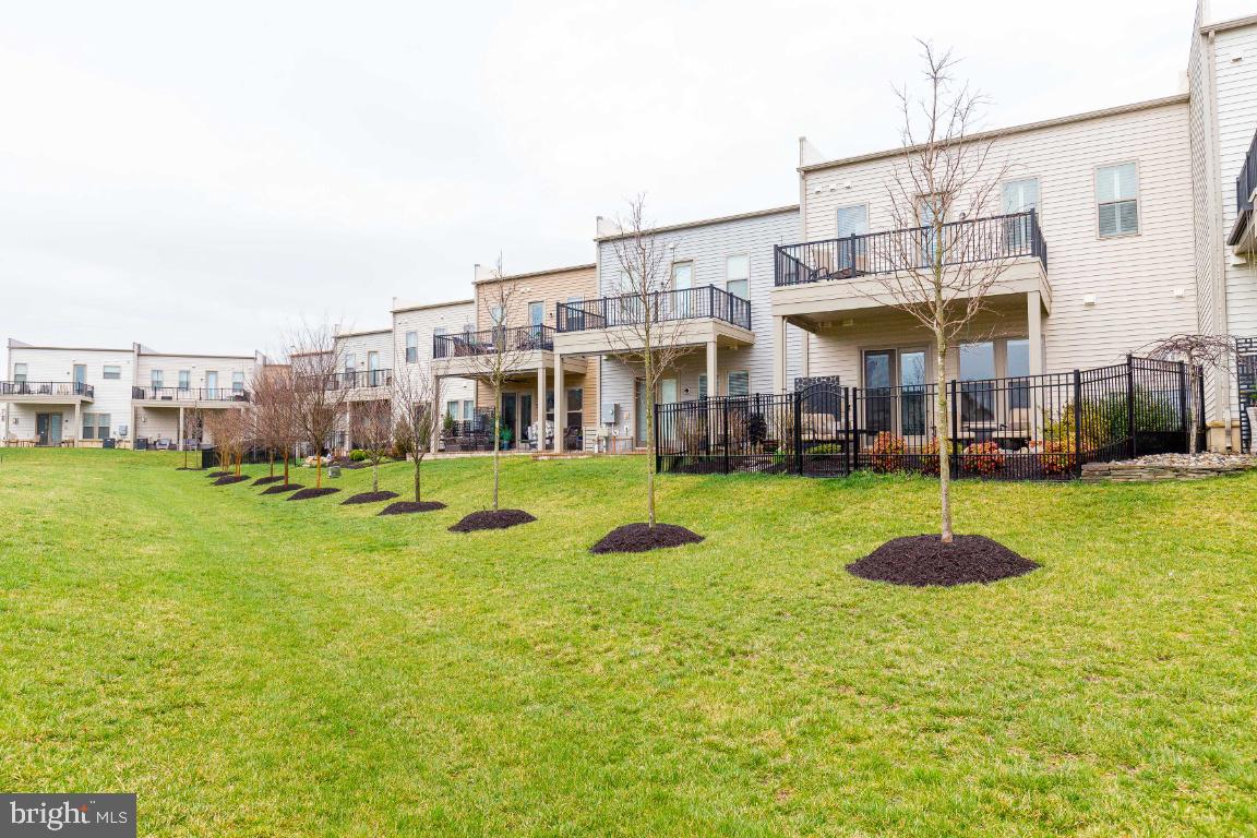42811 Cumulus TERRACE