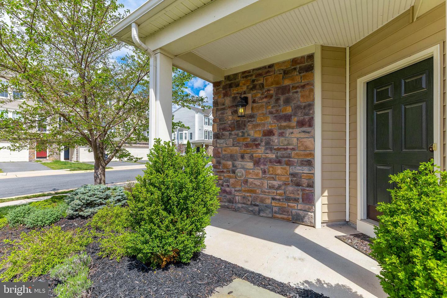25126 Sweet Myrtle SQUARE