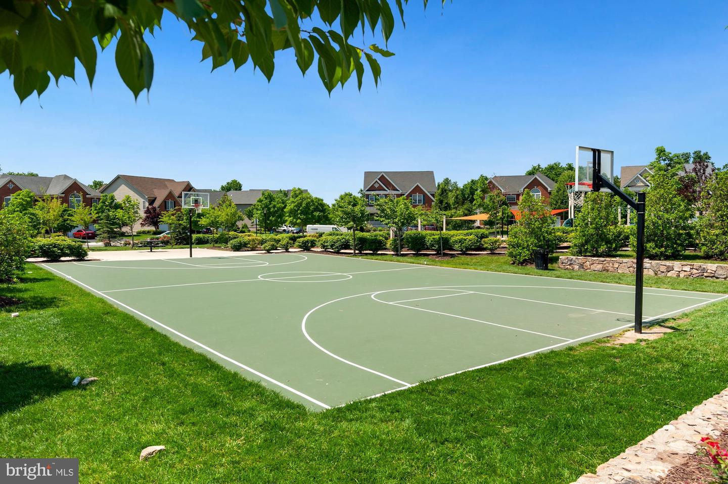 23419 Berkeley Meadows DRIVE