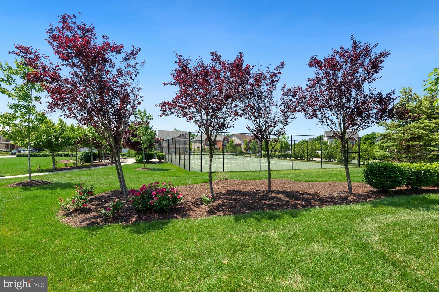 23419 Berkeley Meadows DRIVE