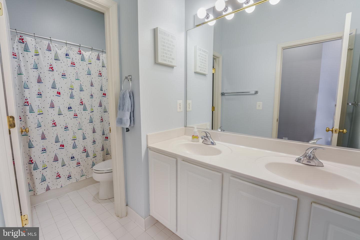 23225 Grayling