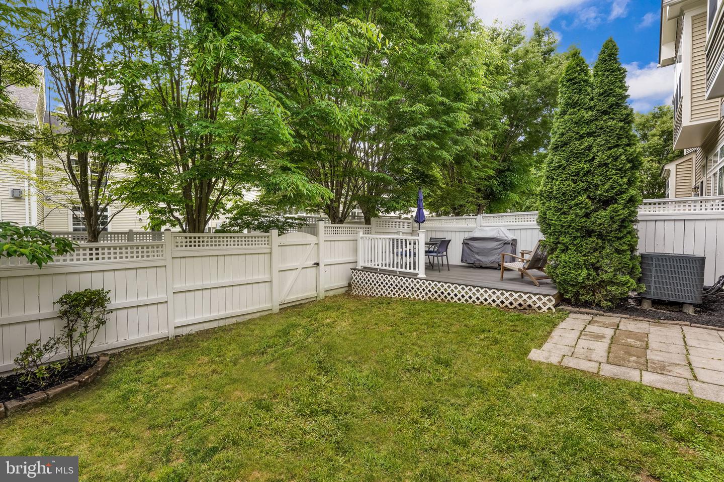 23225 Grayling