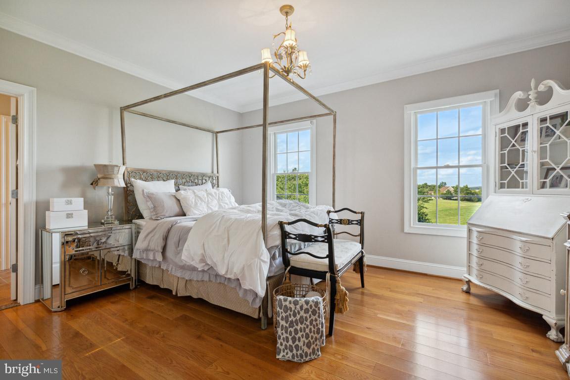 17212 Silver Charm PLACE