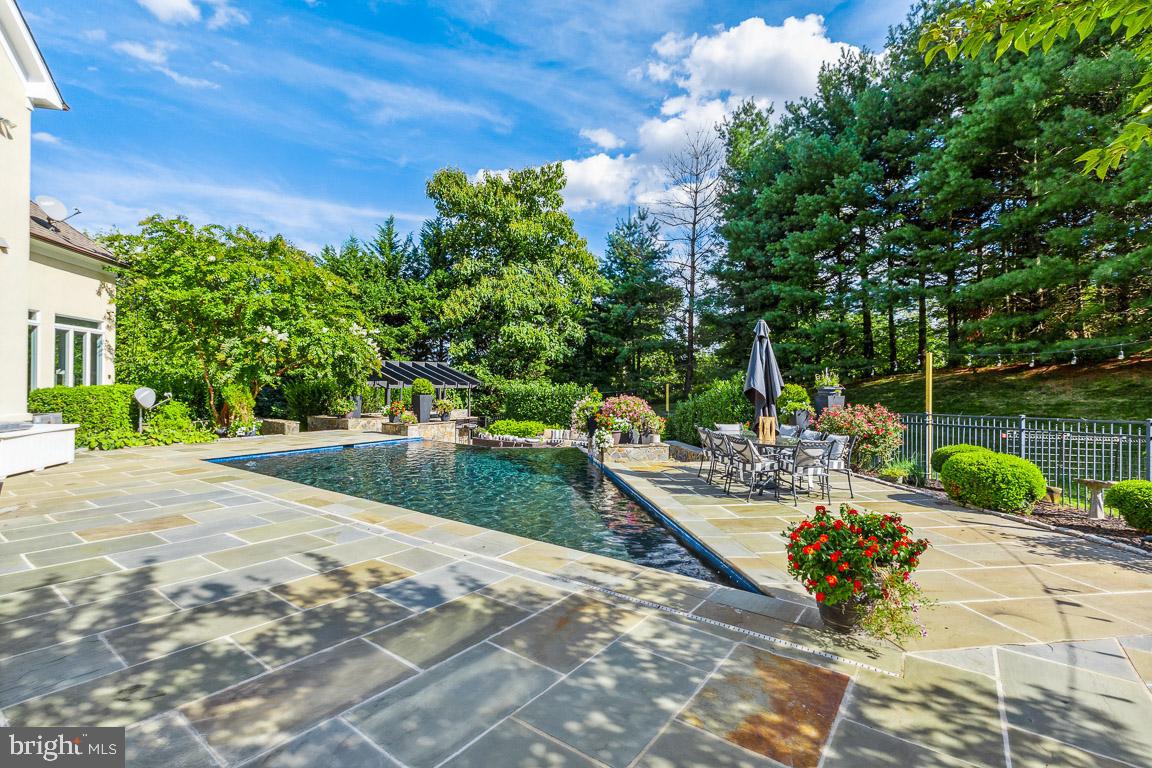 17212 Silver Charm PLACE