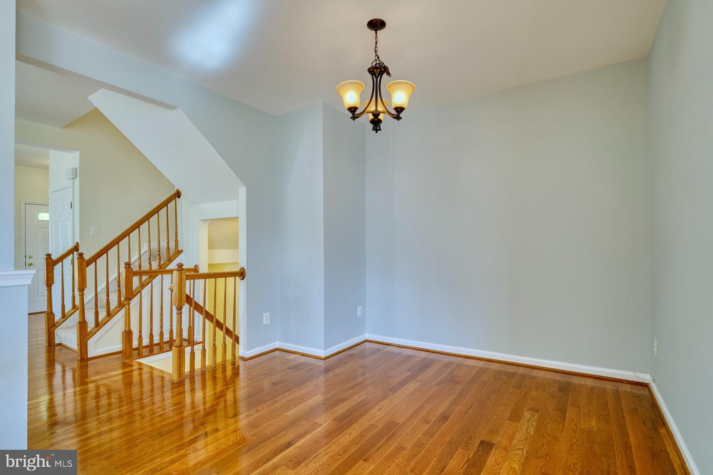 43281 Chokeberry SQUARE