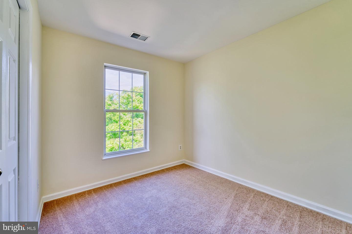 43281 Chokeberry SQUARE