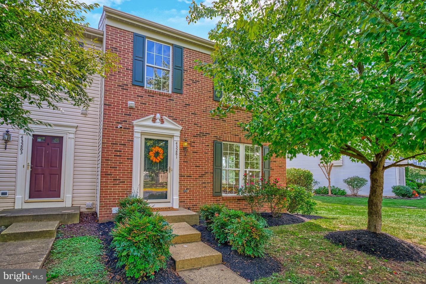 43281 Chokeberry SQUARE