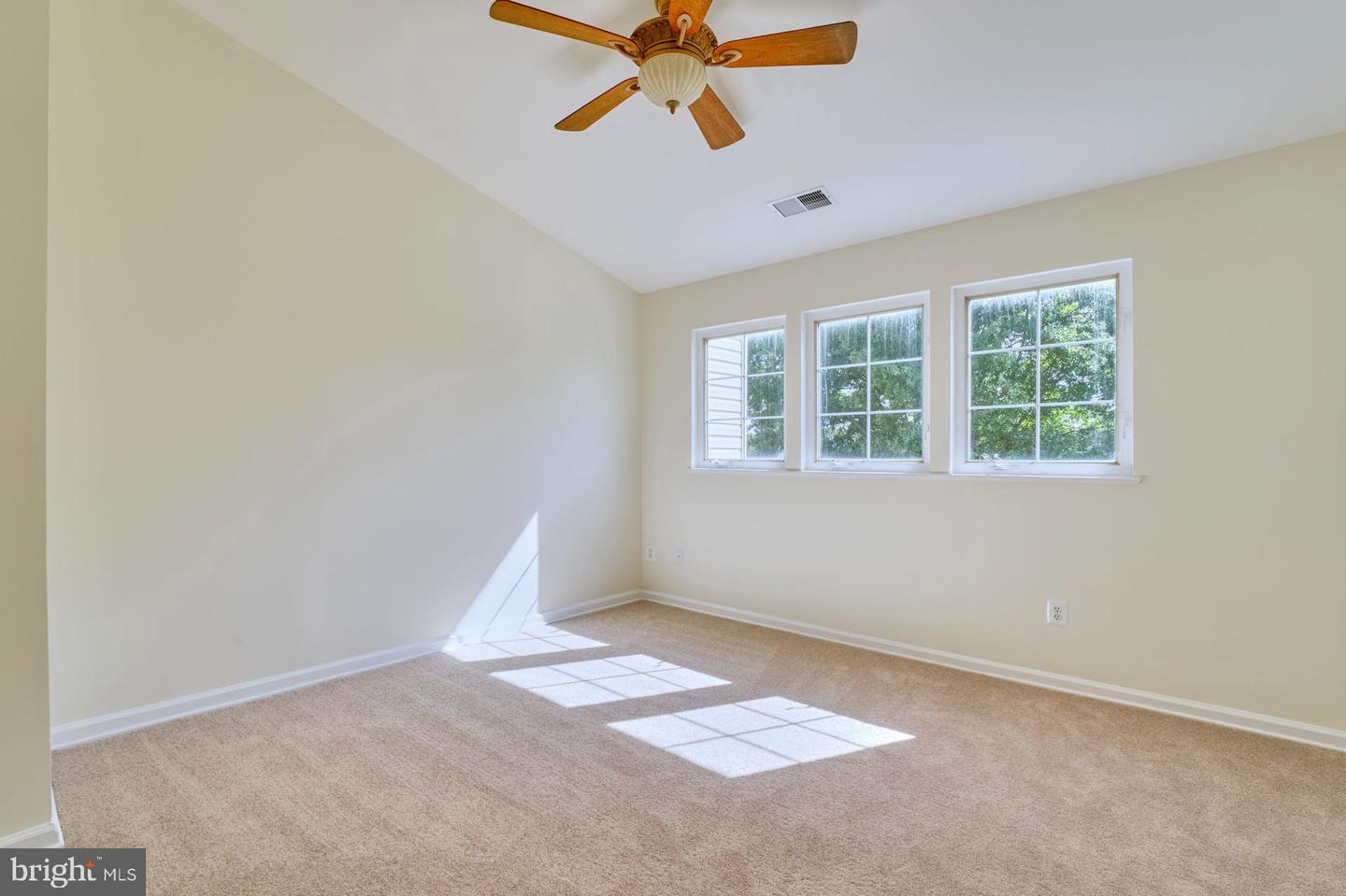 43281 Chokeberry SQUARE