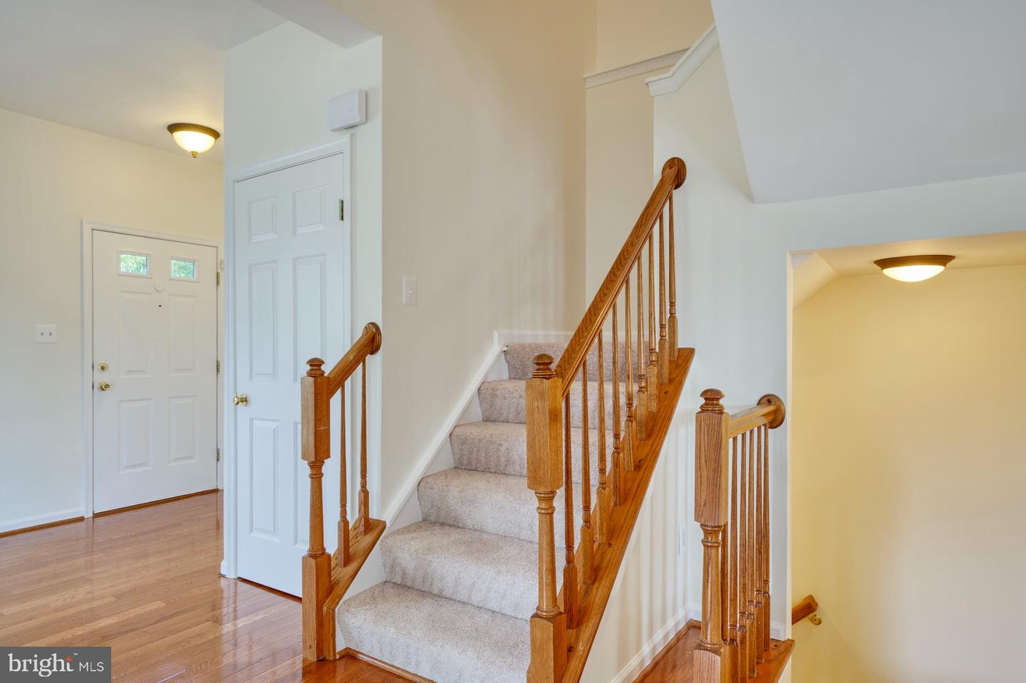 43281 Chokeberry SQUARE